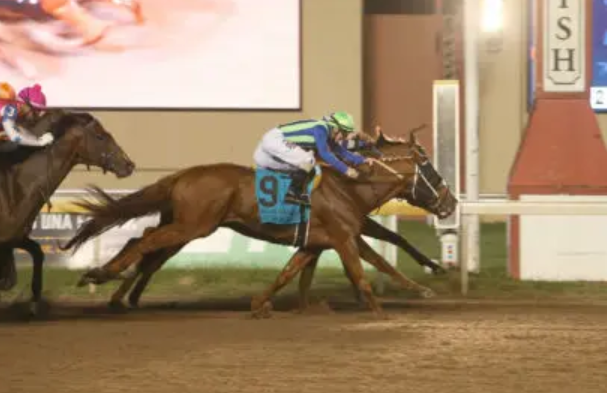 The Most Exciting Finishes in Major Races