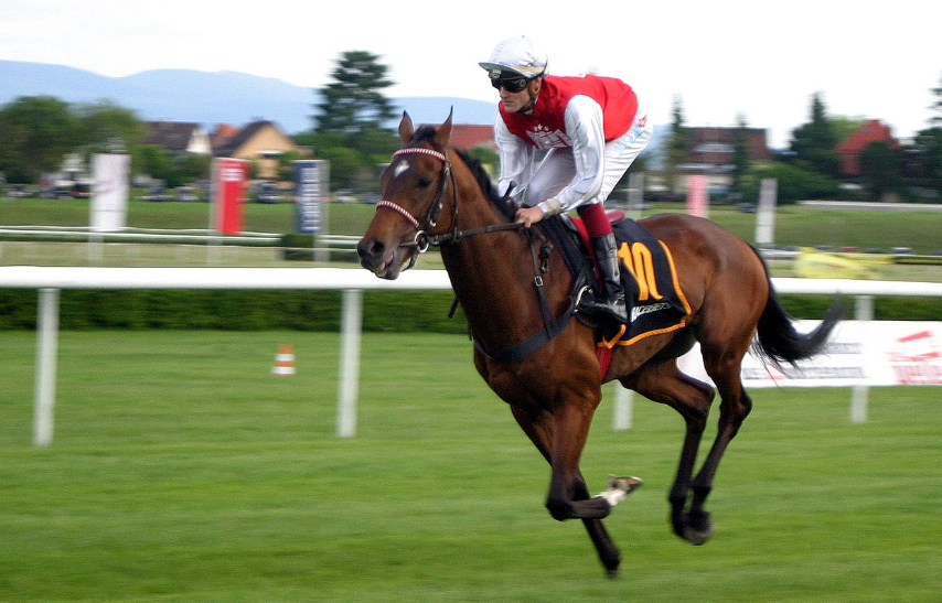 The Most Influential Bloodlines in Racing History