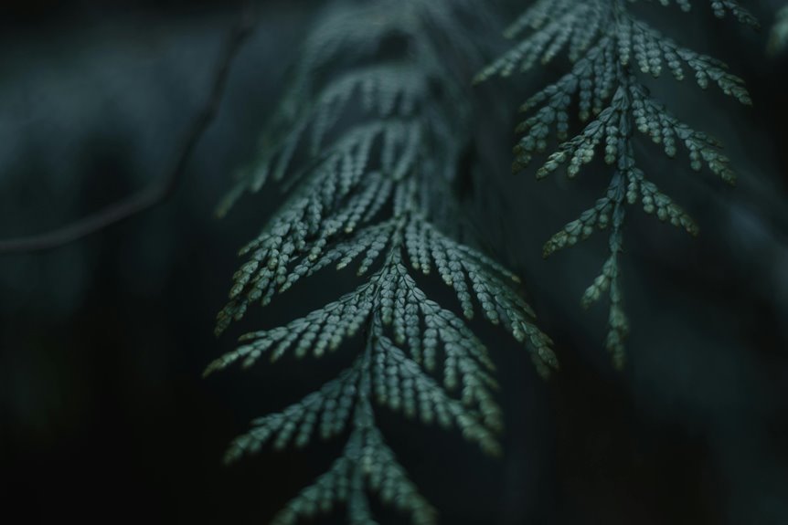 insightful name analysis