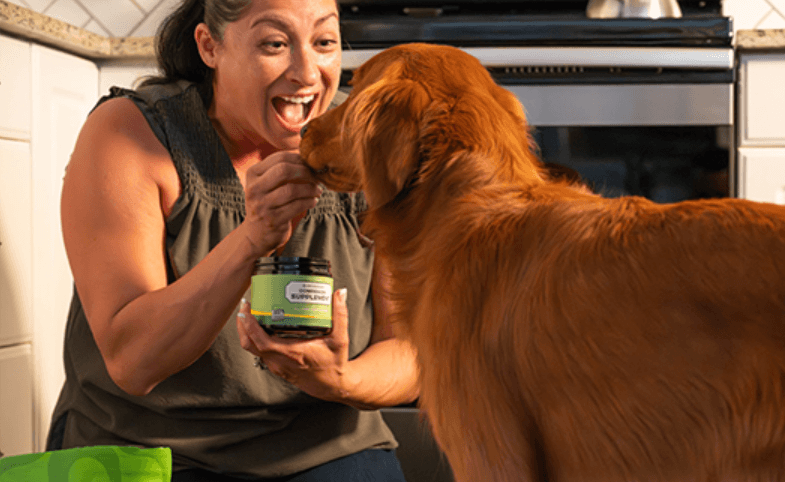 How Can Iron Paws Dental Powder Transform Your Dog's Oral Health?