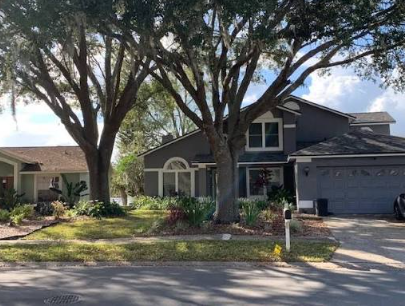 Taking Down A Backyard Oak Near The House Without Wrecking The Yard