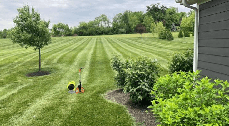Fixing A Soggy Woodlands Backyard Starts With Grading Not Sod