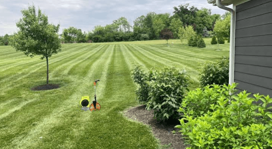 Fixing A Soggy Woodlands Backyard Starts With Grading Not Sod