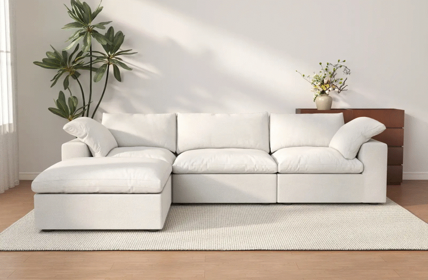 Sofas: The Center of a Comfortable Home